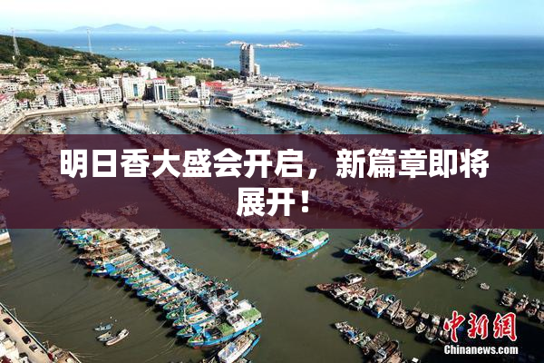 明日香大盛会开启，新篇章即将展开！