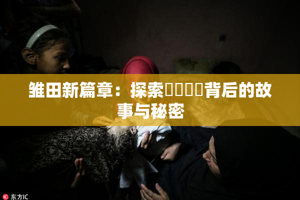 雏田新篇章：探索❌‌❌‌背后的故事与秘密