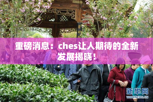 重磅消息：ches让人期待的全新发展揭晓！