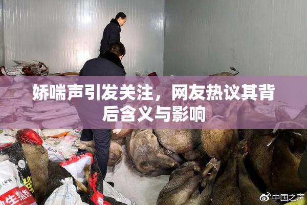 娇喘声引发关注，网友热议其背后含义与影响