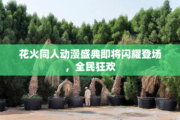 花火同人动漫盛典即将闪耀登场，全民狂欢
