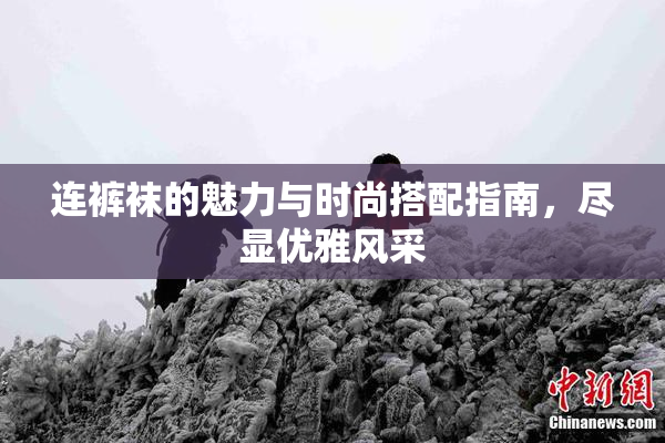 连裤袜的魅力与时尚搭配指南，尽显优雅风采