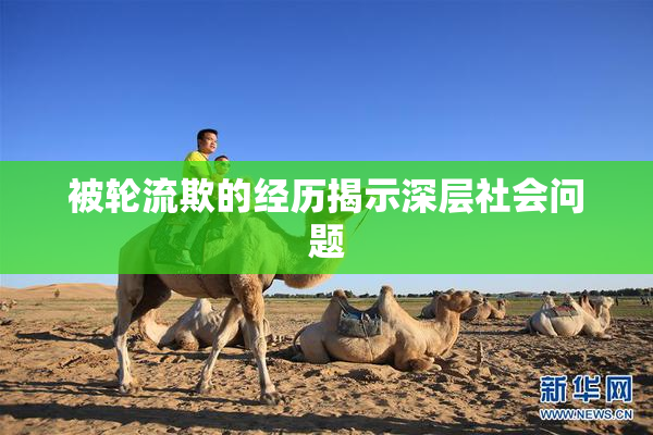 被轮流欺的经历揭示深层社会问题