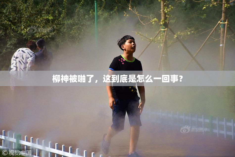 柳神被啪了，这到底是怎么一回事？