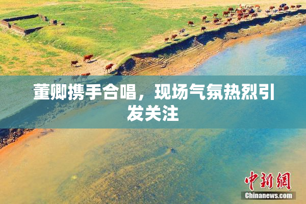 董卿携手合唱，现场气氛热烈引发关注