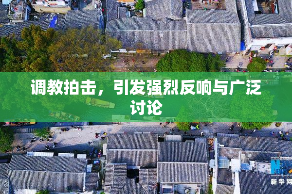 调教拍击，引发强烈反响与广泛讨论