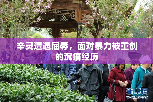 辛灵遭遇屈辱，面对暴力被重创的沉痛经历