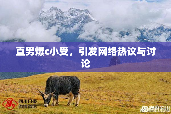 直男爆c小受，引发网络热议与讨论
