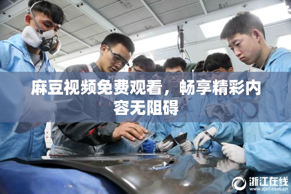 麻豆视频免费观看，畅享精彩内容无阻碍