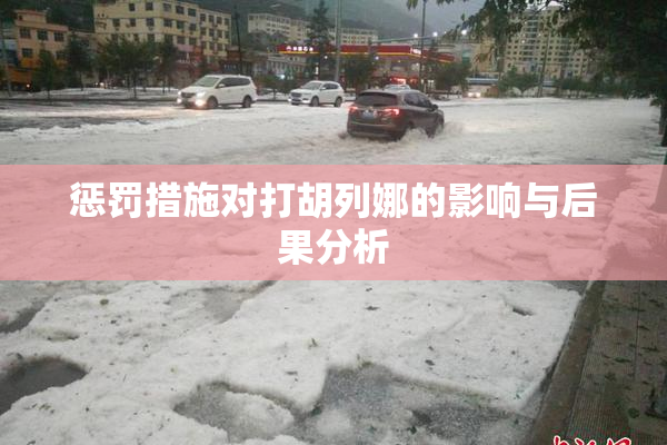 惩罚措施对打胡列娜的影响与后果分析