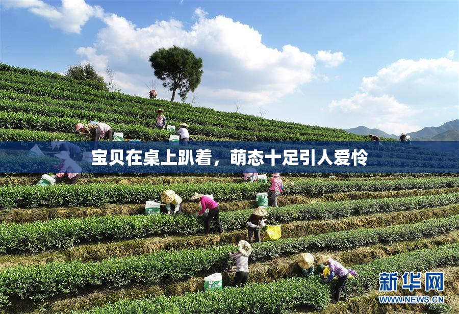 宝贝在桌上趴着，萌态十足引人爱怜