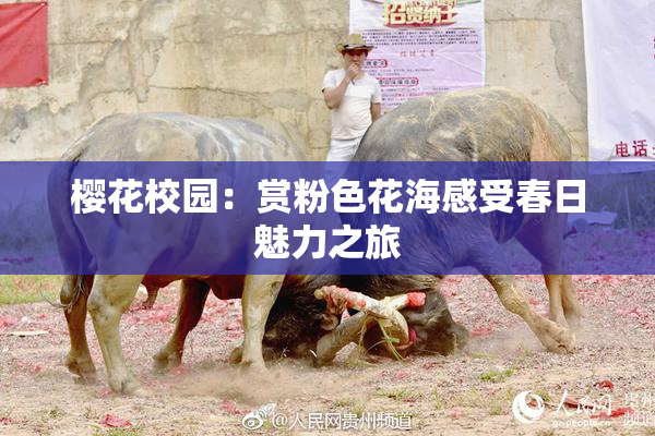 樱花校园：赏粉色花海感受春日魅力之旅