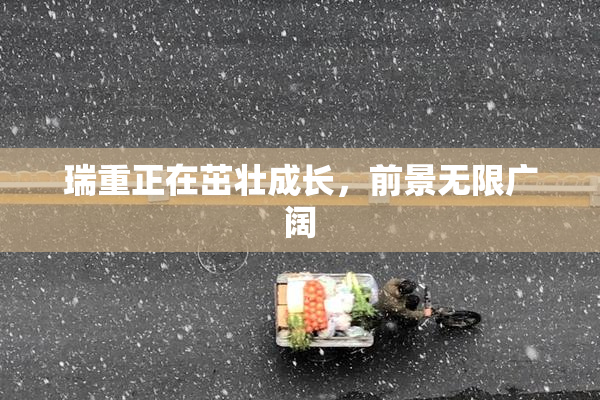 瑞重正在茁壮成长，前景无限广阔
