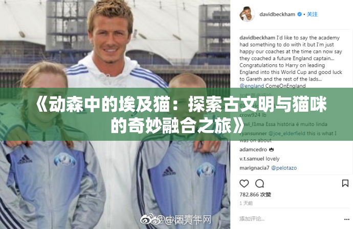 《动森中的埃及猫：探索古文明与猫咪的奇妙融合之旅》