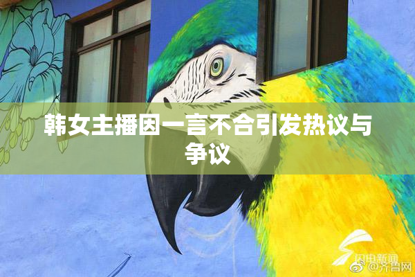 韩女主播因一言不合引发热议与争议