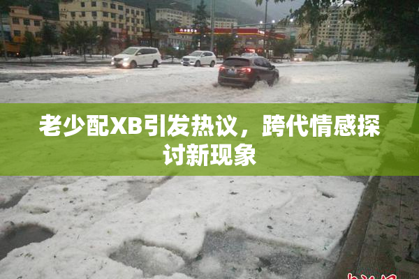 老少配XB引发热议，跨代情感探讨新现象