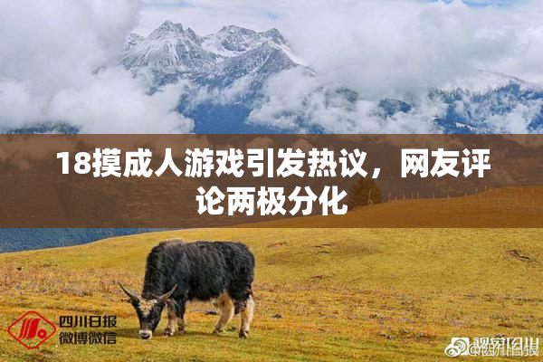 18摸成人游戏引发热议，网友评论两极分化
