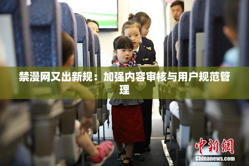 禁漫网又出新规：加强内容审核与用户规范管理