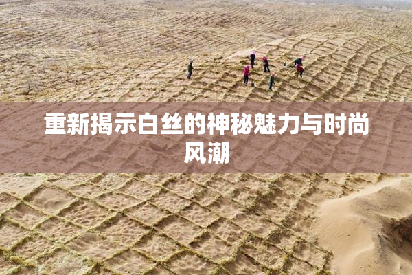 重新揭示白丝的神秘魅力与时尚风潮