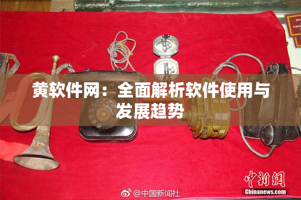 黄软件网：全面解析软件使用与发展趋势