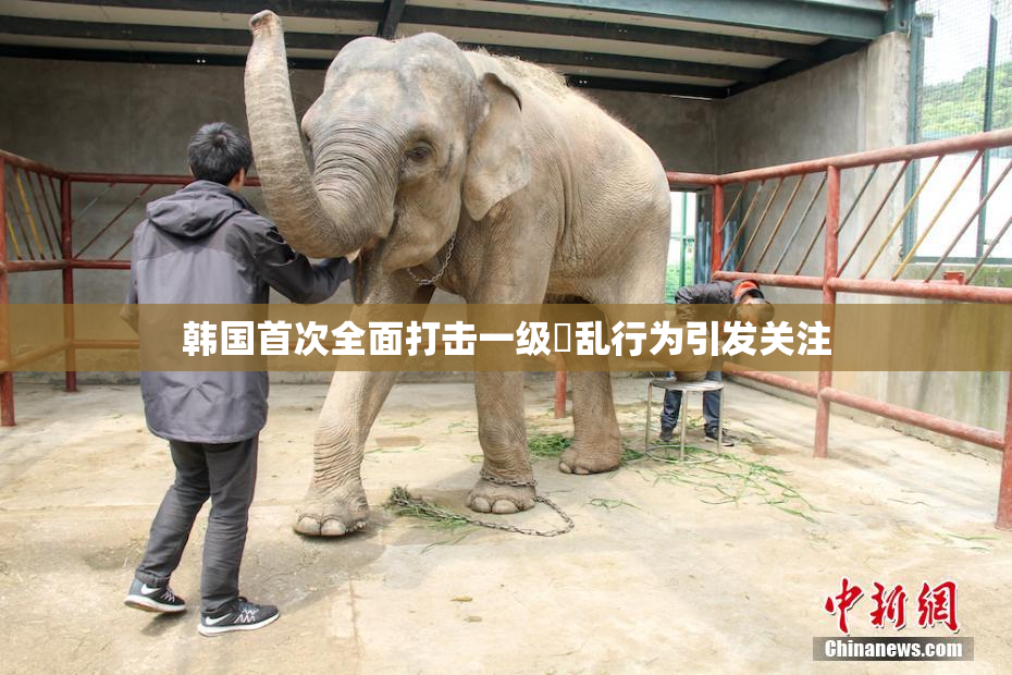 韩国首次全面打击一级婬乱行为引发关注