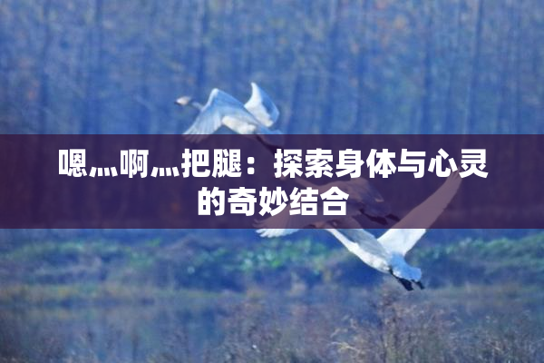嗯灬啊灬把腿：探索身体与心灵的奇妙结合