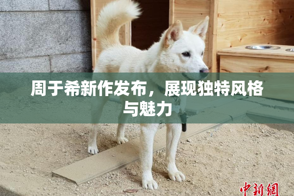 周于希新作发布，展现独特风格与魅力