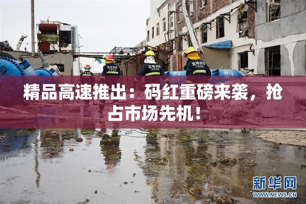 精品高速推出：码红重磅来袭，抢占市场先机！