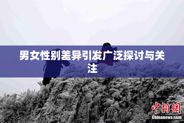 男女性别差异引发广泛探讨与关注