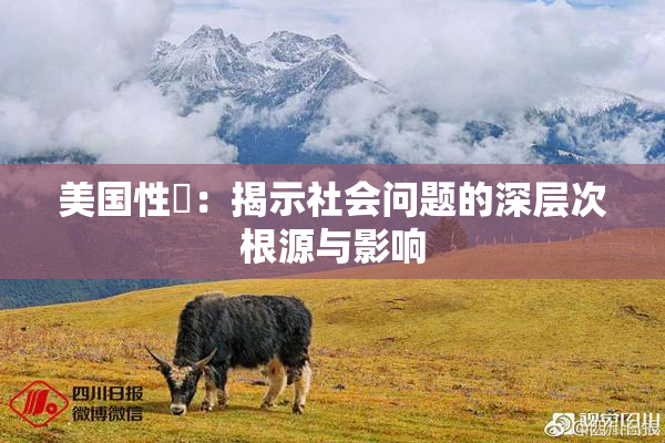 美国性婬：揭示社会问题的深层次根源与影响