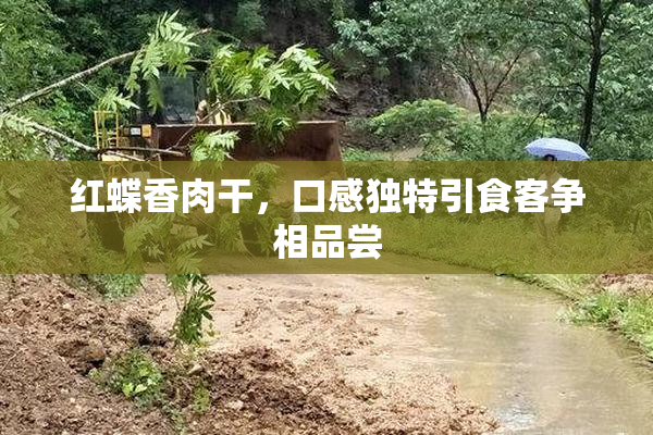 红蝶香肉干，口感独特引食客争相品尝
