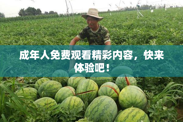 成年人免费观看精彩内容，快来体验吧！