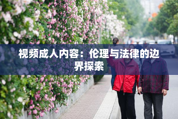 视频成人内容：伦理与法律的边界探索