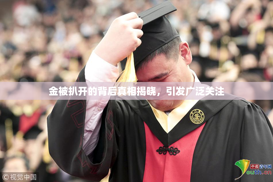 金被扒开的背后真相揭晓，引发广泛关注