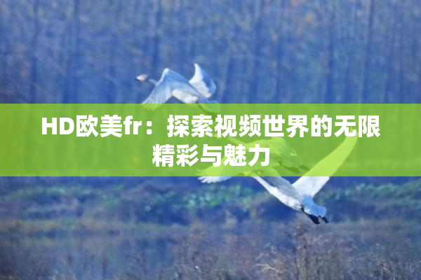 HD欧美fr：探索视频世界的无限精彩与魅力