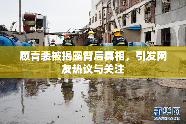 顾青裴被揭露背后真相，引发网友热议与关注