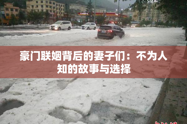 豪门联姻背后的妻子们：不为人知的故事与选择