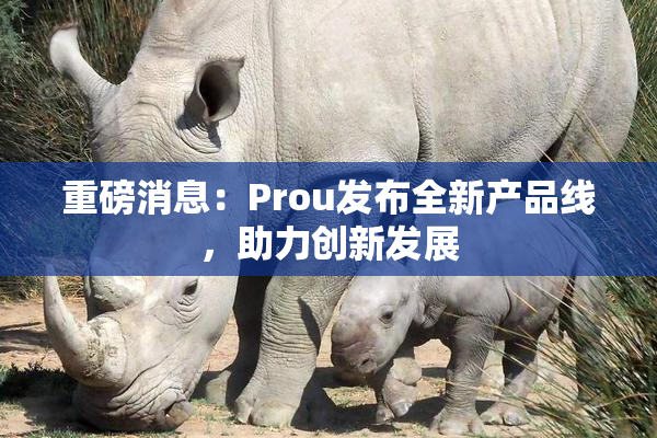 重磅消息：Prou发布全新产品线，助力创新发展