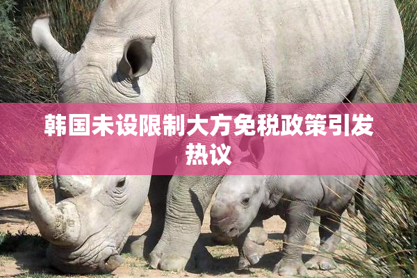 韩国未设限制大方免税政策引发热议