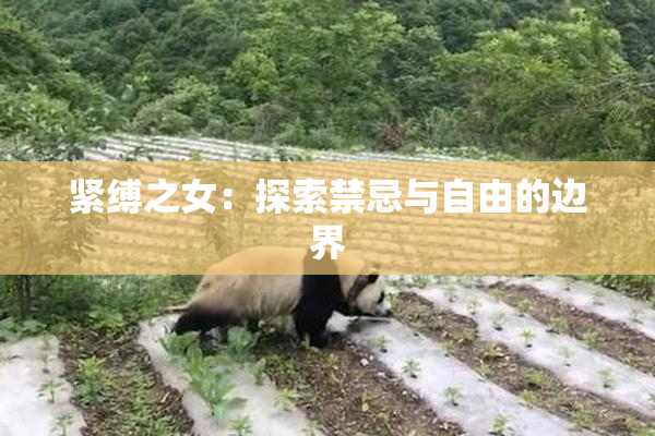紧缚之女：探索禁忌与自由的边界