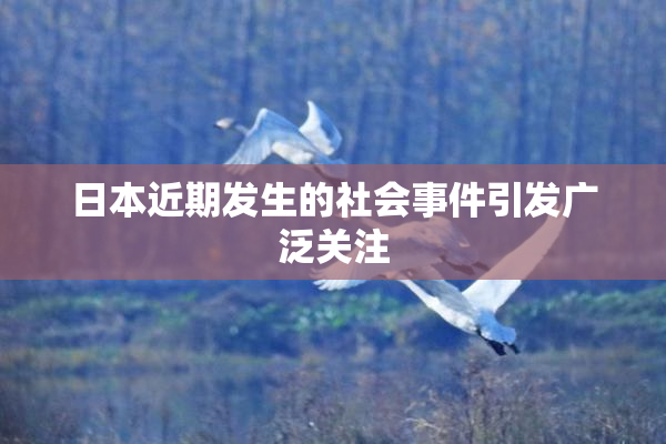 日本近期发生的社会事件引发广泛关注