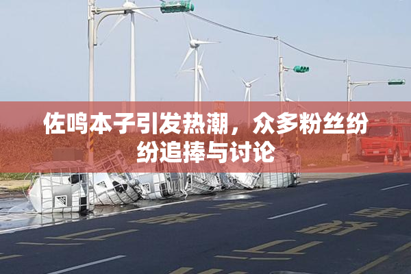 佐鸣本子引发热潮，众多粉丝纷纷追捧与讨论