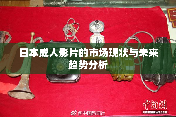 日本成人影片的市场现状与未来趋势分析