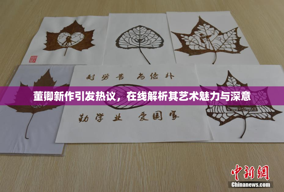 董卿新作引发热议，在线解析其艺术魅力与深意