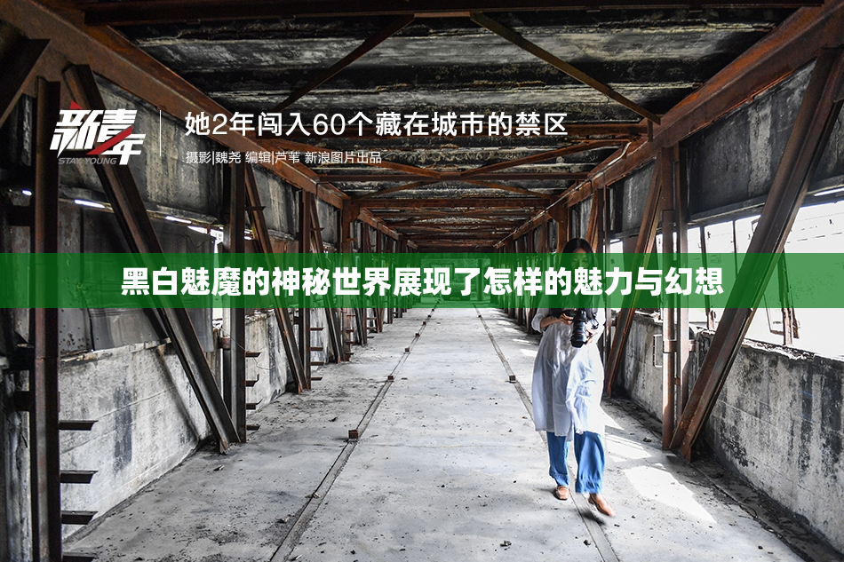 黑白魅魔的神秘世界展现了怎样的魅力与幻想