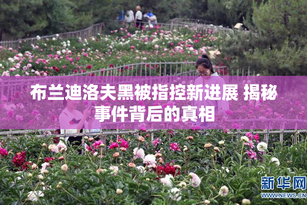 布兰迪洛夫黑被指控新进展 揭秘事件背后的真相