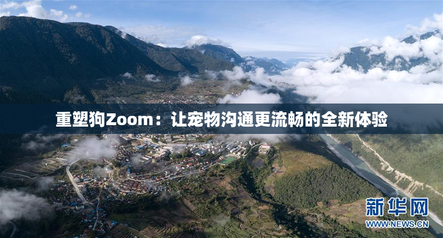 重塑狗Zoom：让宠物沟通更流畅的全新体验