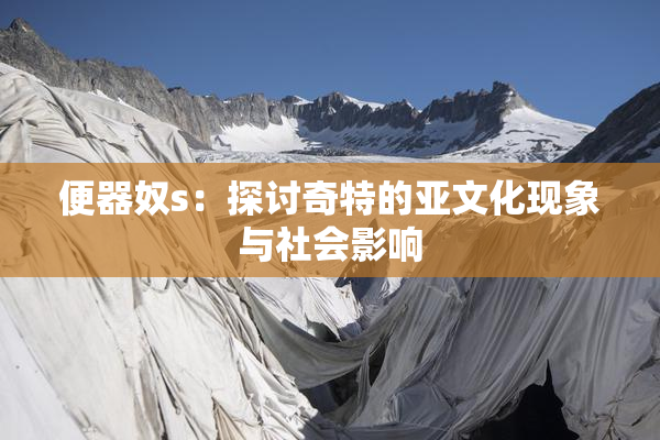 便器奴s：探讨奇特的亚文化现象与社会影响