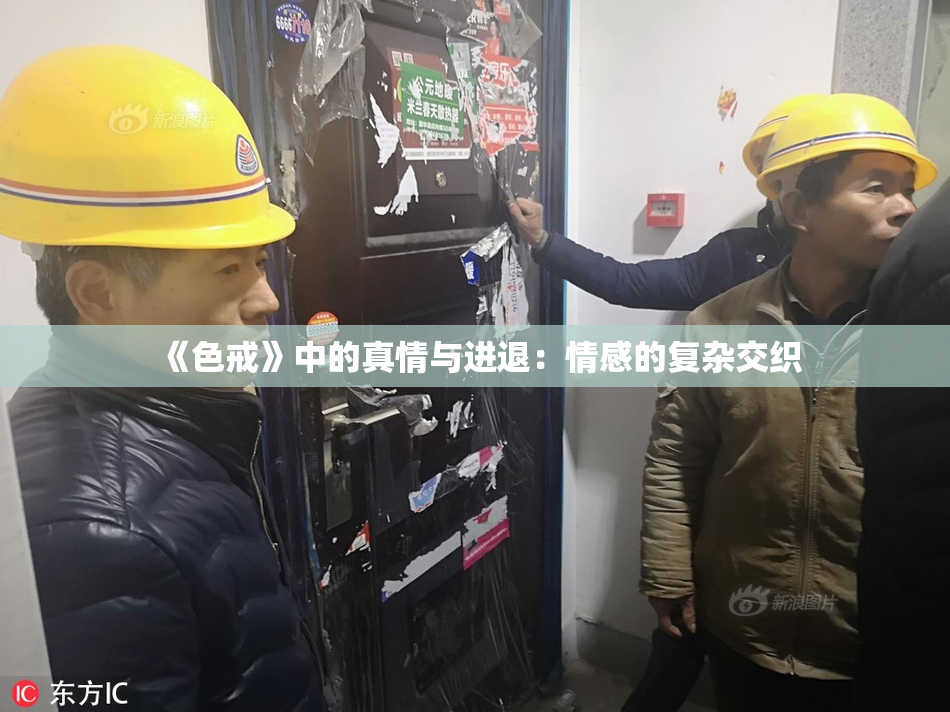 《色戒》中的真情与进退：情感的复杂交织