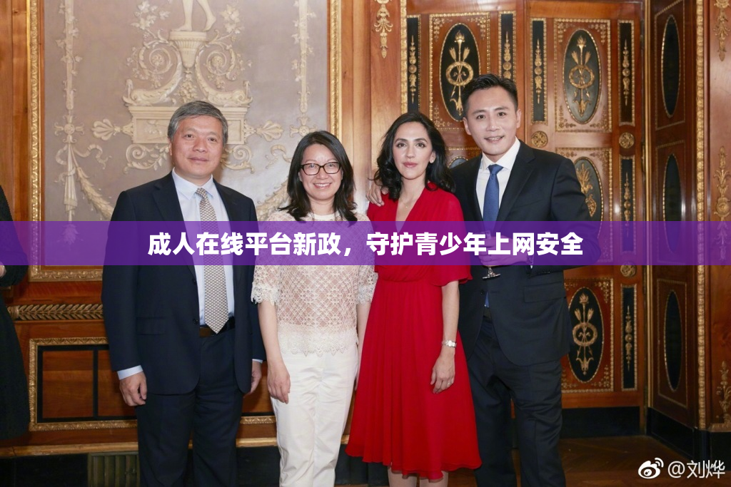 成人在线平台新政，守护青少年上网安全